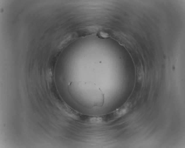 X0000076100279200610061714