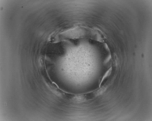 X0000076100280200610061714