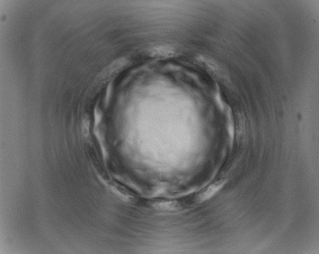 X0000076100281200610061714