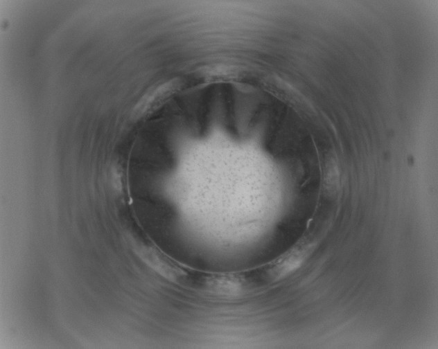 X0000076100282200610061714