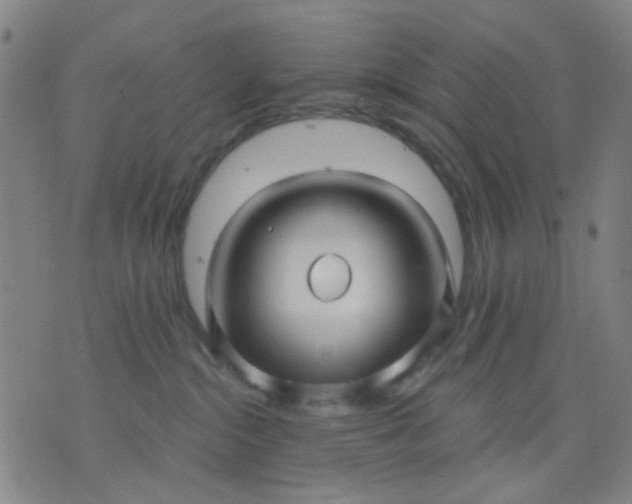 X0000076100284200610061714