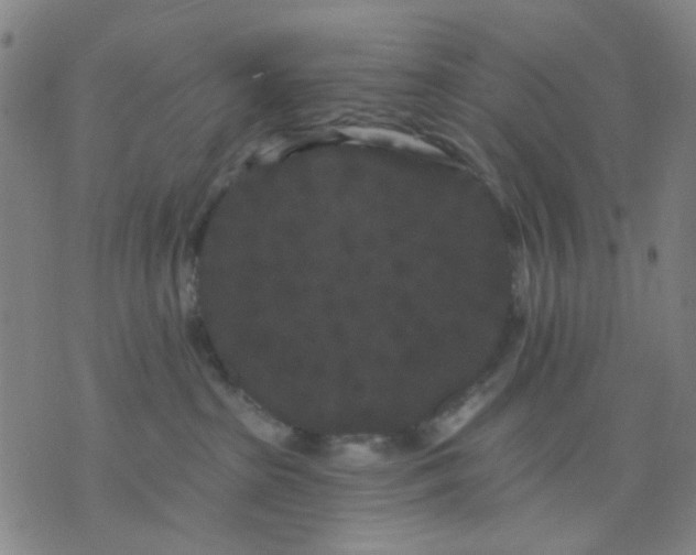 X0000076100285200610061714