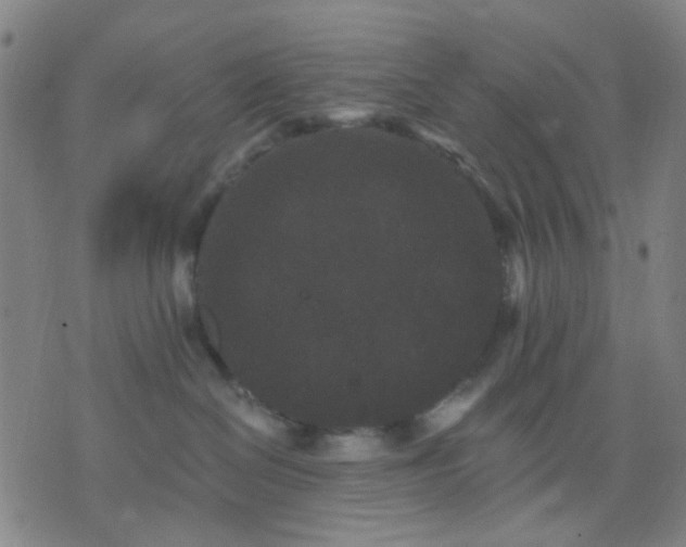 X0000076100286200610061714