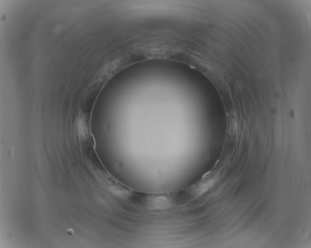 X0000076100287200610061714