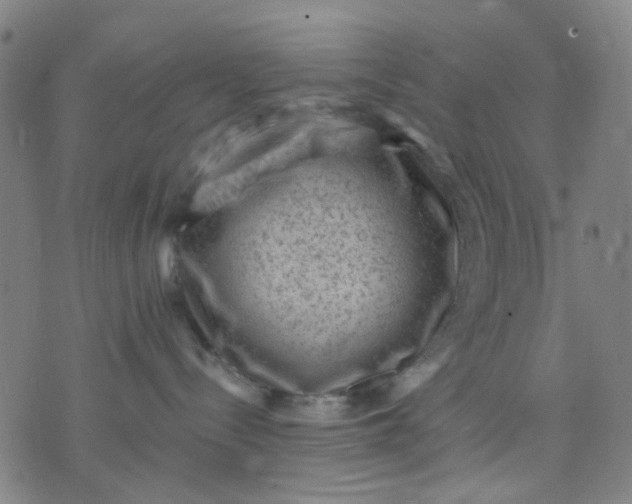 X0000076100288200610061714