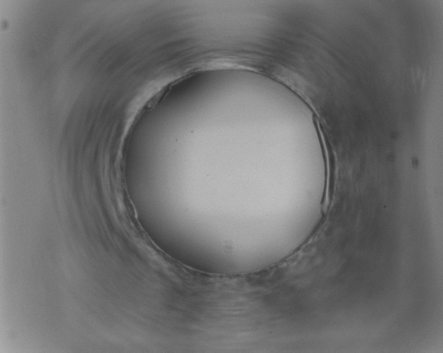 X0000076100289200610061713