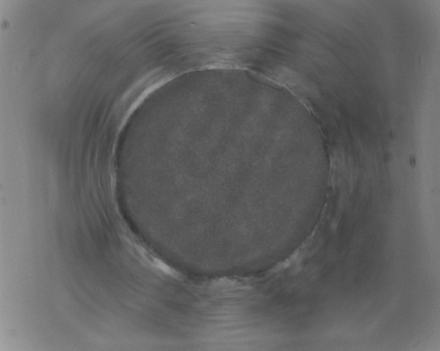 X0000076100290200610061713