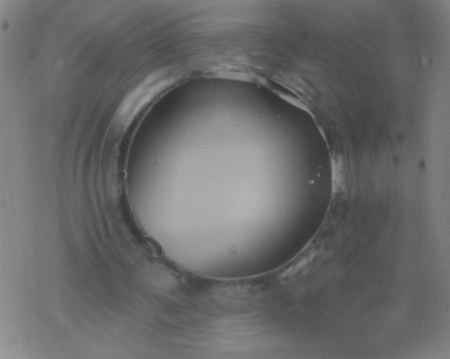 X0000076100291200610061713