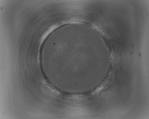 X0000076100292200610061713