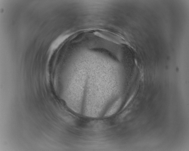 X0000076100294200610061713