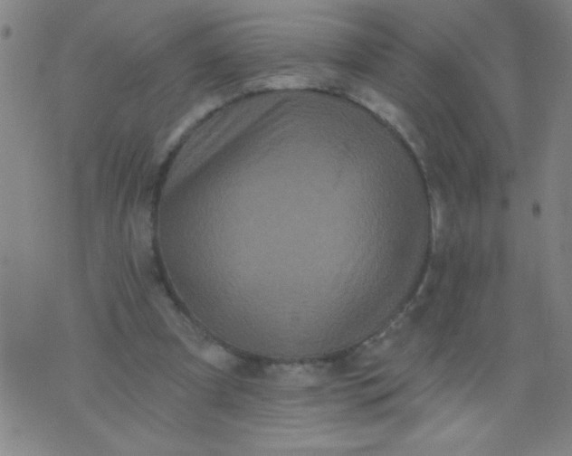 X0000076100297200610061713