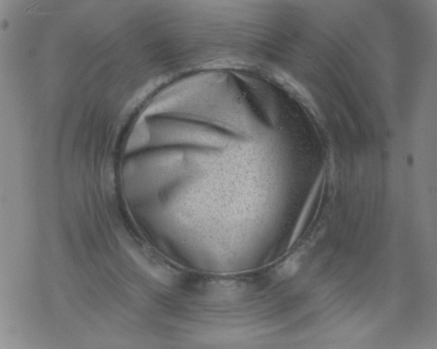 X0000076100298200610061713