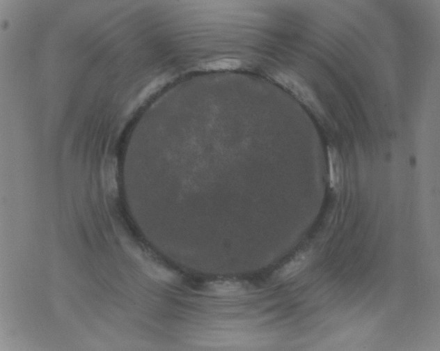 X0000076100300200610061713