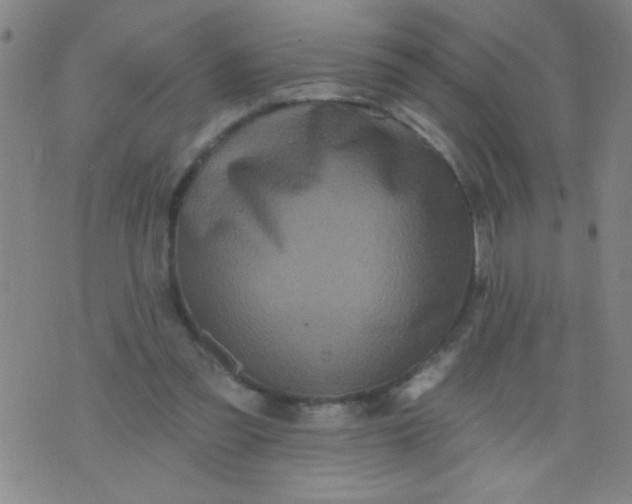 X0000076100301200610061713