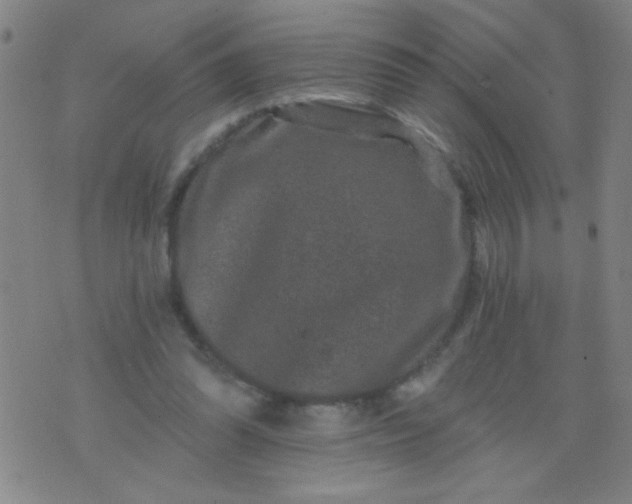 X0000076100302200610061713