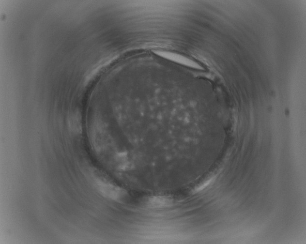 X0000076100303200610061713