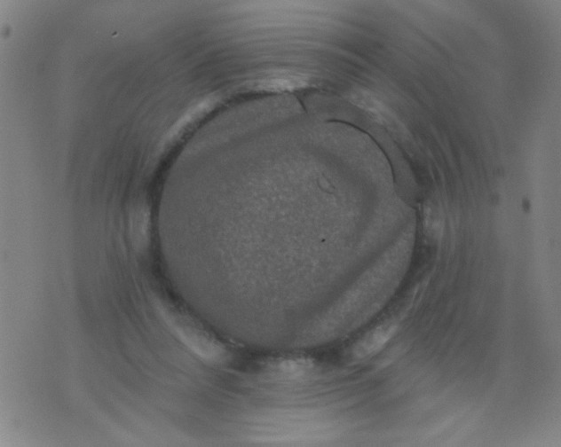 X0000076100304200610061713