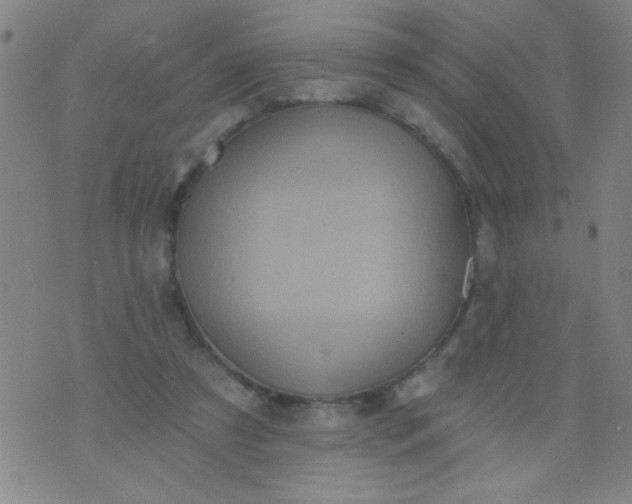 X0000076100305200610061713