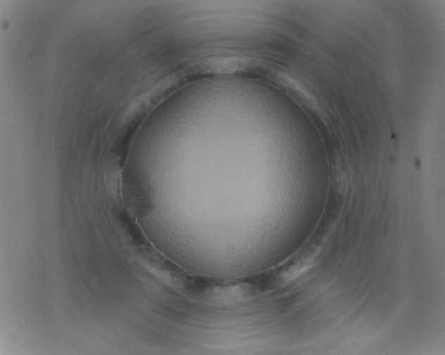 X0000076100307200610061713