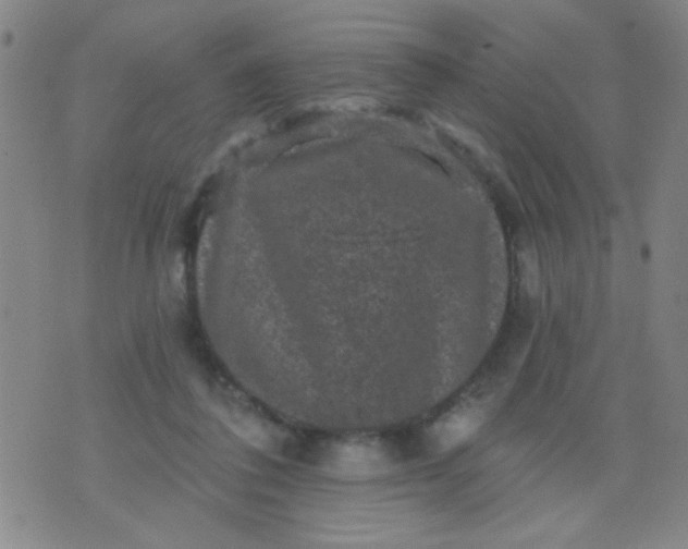 X0000076100308200610061713