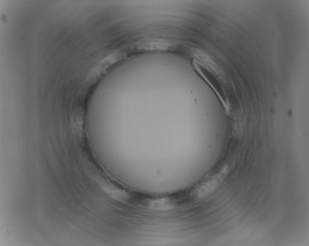 X0000076100309200610061713