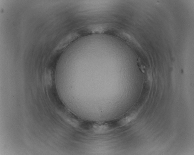 X0000076100311200610061713