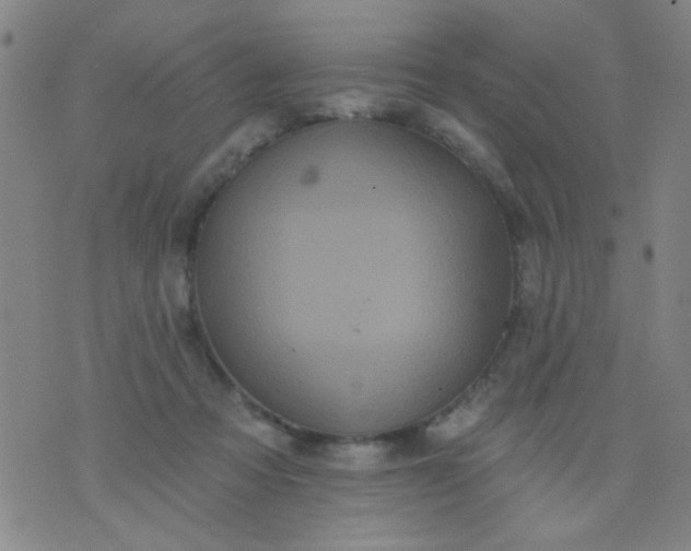 X0000076100313200610061713