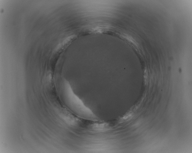 X0000076100314200610061713