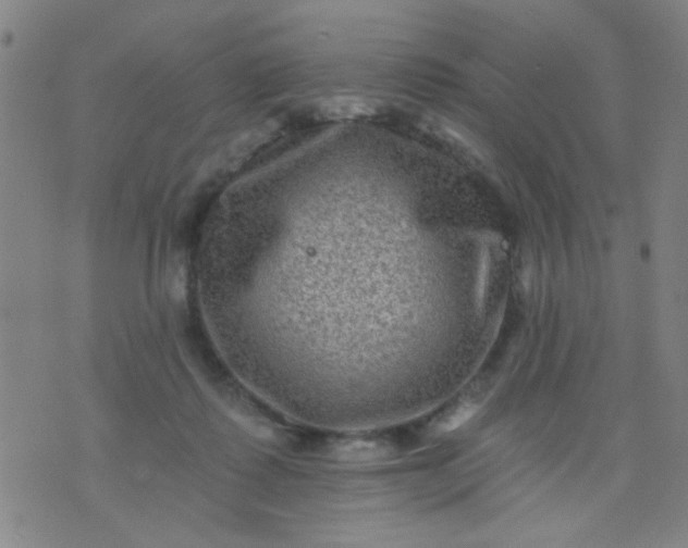 X0000076100315200610061713