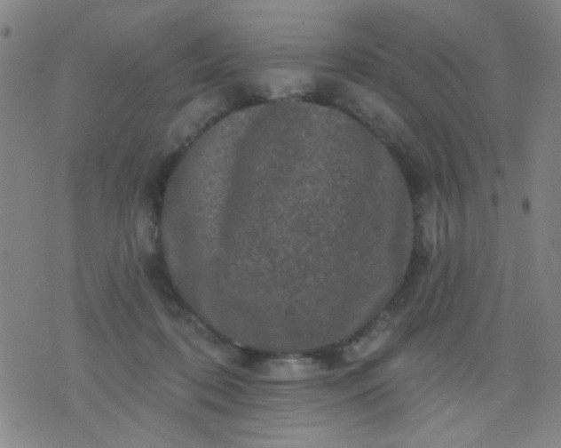 X0000076100316200610061713