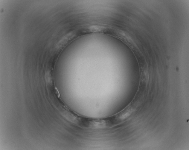 X0000076100317200610061713