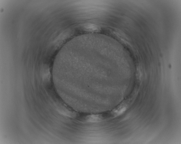 X0000076100320200610061713