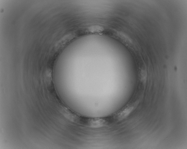 X0000076100321200610061713