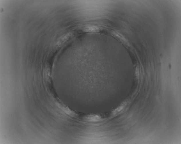 X0000076100322200610061713