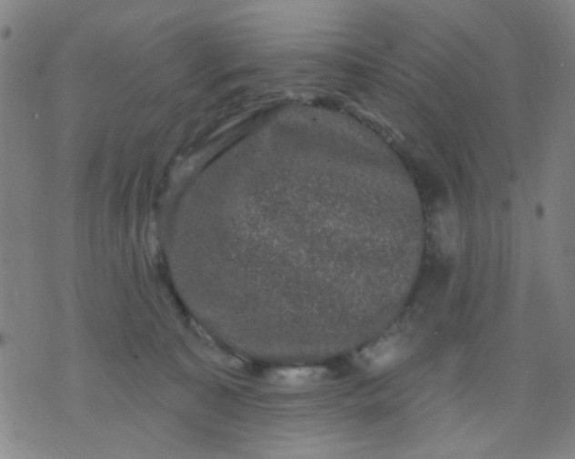 X0000076100323200610061713