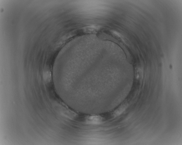 X0000076100324200610061713