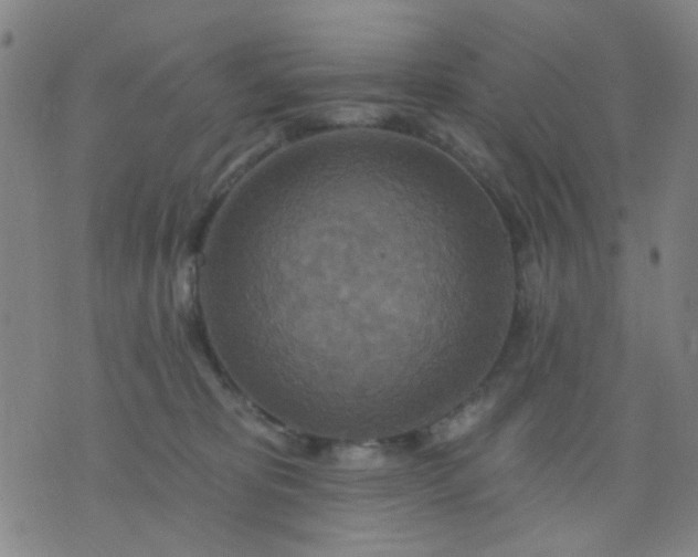 X0000076100325200610061713