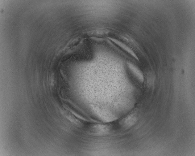 X0000076100326200610061713