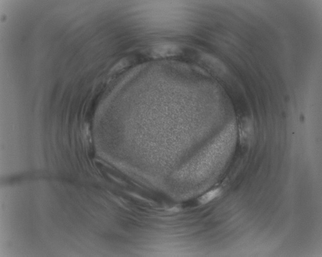 X0000076100327200610061713