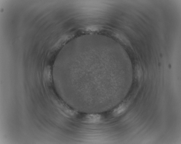 X0000076100328200610061713