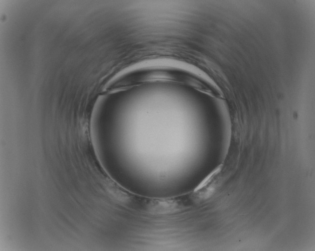 X0000076100329200610061713