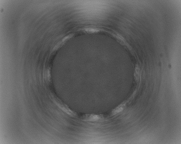 X0000076100330200610061713