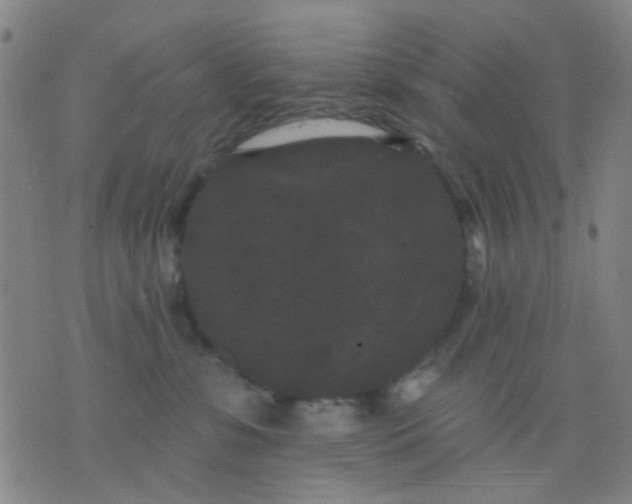 X0000076100331200610061713