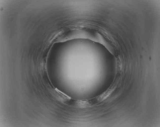 X0000076100333200610061713