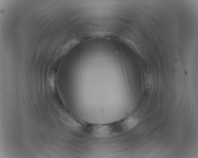 X0000076100334200610061713