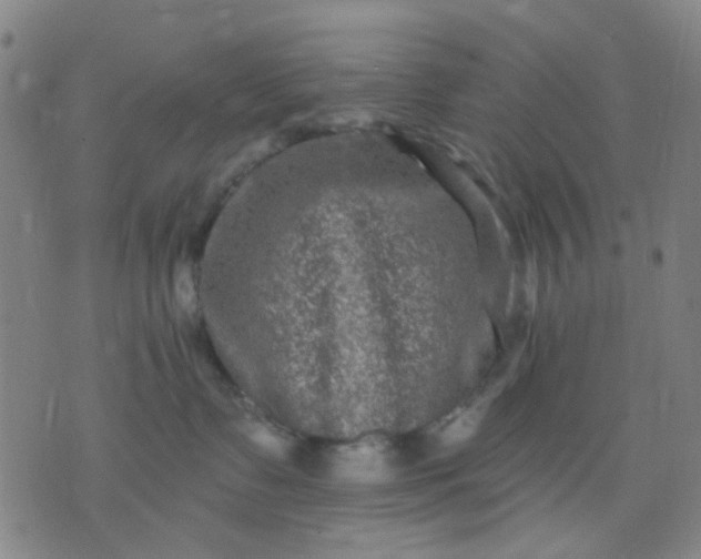 X0000076100335200610061713