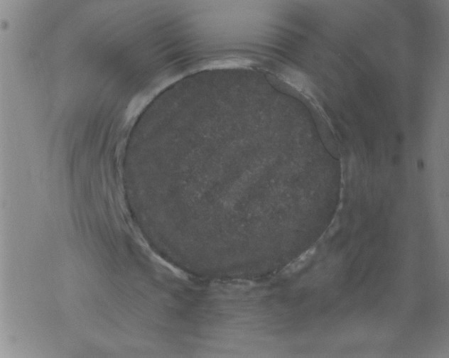 X0000076100337200610061712