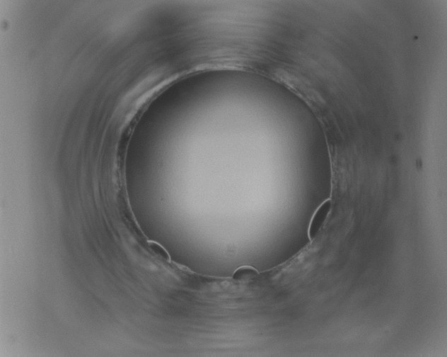 X0000076100338200610061712