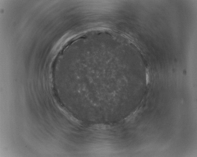 X0000076100339200610061712