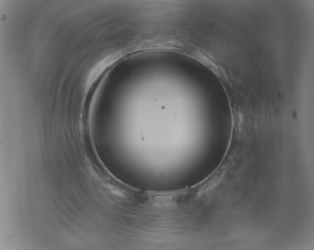 X0000076100340200610061712